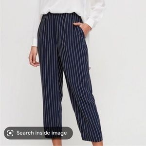 Babaton Modesto pinstripe pants